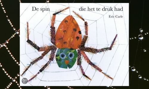 #16. Over een spin. Die het echt te druk had: De spin die het te druk had