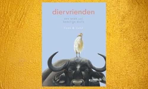 #293. Hoe mooi!: Diervrienden – een boek vol beestige duo’s