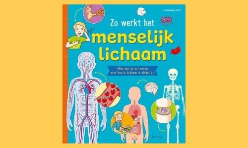 #313. Duidelijk & aantrekkelijk vormgegeven: Zo werkt het menselijk lichaam