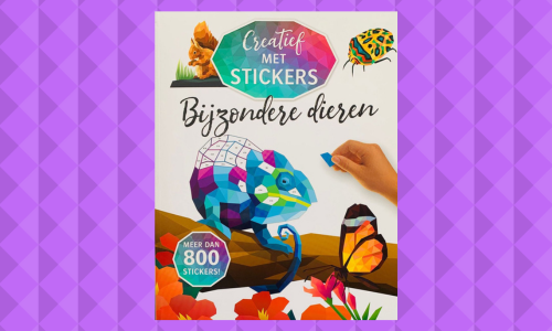 #408. Goed vermaak!: Creatief met stickers